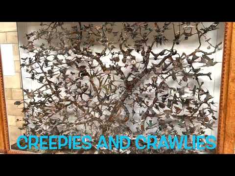 Have you been here in London?