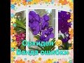 Орхидея ВАНДА-ошибки 