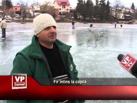 Fir întins la copcă