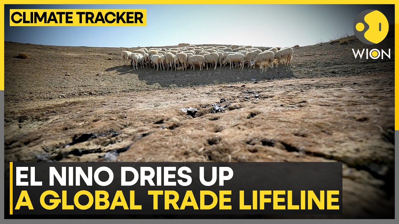 Drought Slows Ships On Panama Canal | WION Climate Tracker