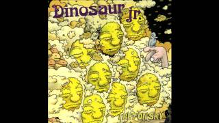 Dinosaur Jr. - Stick A Toe In