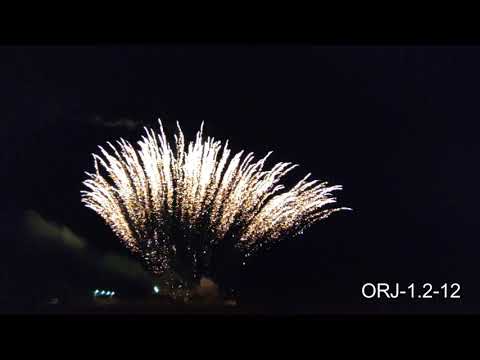 ORJ-1.2-12 - One row,Ф30mm,13s