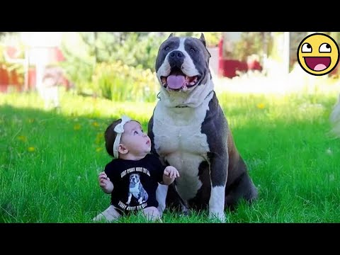 When Your Dog Becomes the Gentlest Big Brother Ever ❤️🐶