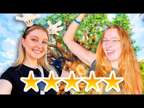 A Perfect Morning in Animal Kingdom — Rate My Trip!