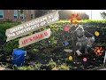 Green Landscape at the University of Utah: Let's Talk U - View From the U Productions Green Landscape at the University of Utah: Let's Talk U