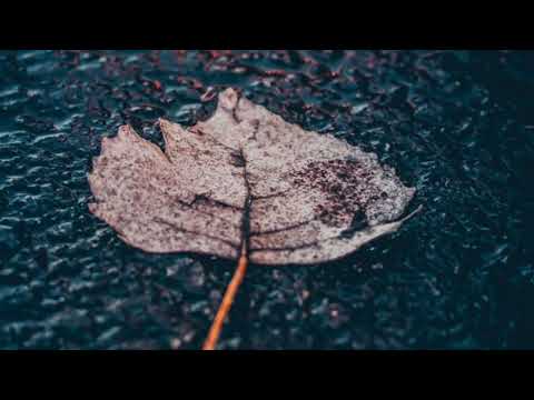 C hustle - Fast Life