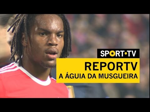Promo ReporTv -  A águia da Musgueira | SPORT TV