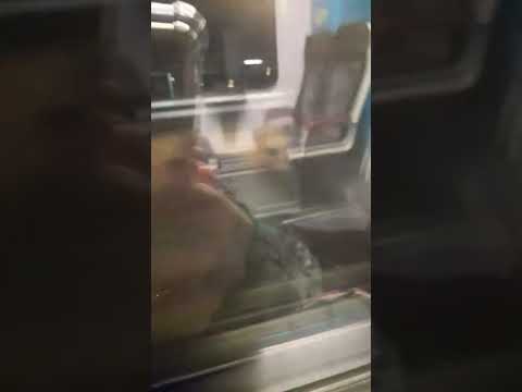 RB 72 Richtung Herford Hbf