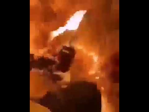مجرم يقوم بتوثيق حرقه الاشجار في تيزي وزو