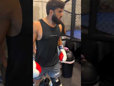 Первые спарринги Армана Царукяна. Подготовка к Руффи #ufc #mma #armantsarukyan