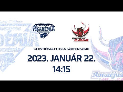 U16 III. Csoport | fj. Ocskay Gábor JA - Dunaújvárosi Acélbikák