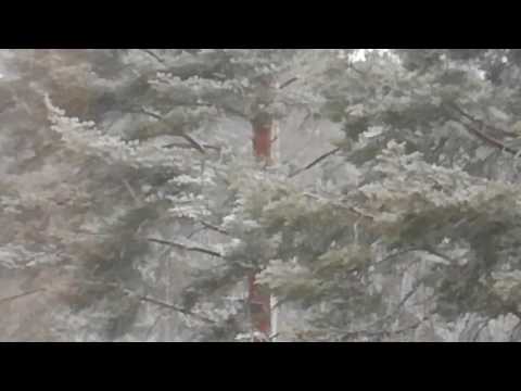 Tuleeko tästä takatalvi