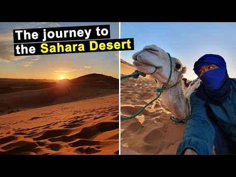 3 DAY TOUR TO THE SAHARA DESERT | Berber village ,Canyon, Camel ride and many more!