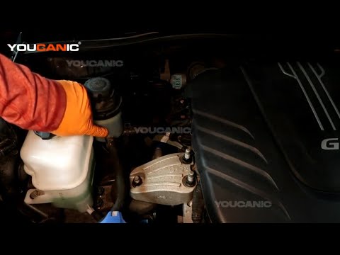 2015–2021 Kia Sedona – Check & Add Power Steering Fluid