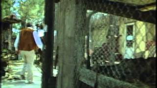 Slaughterhouse (1987) Video