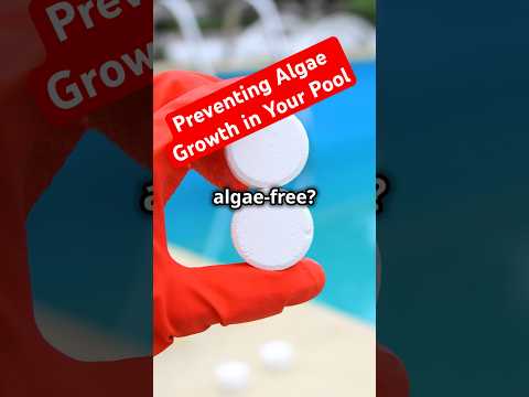 Preventing Algae Growth in Your Pool | Comprehensive Guide to Algae Types, Prevention, and Treatment