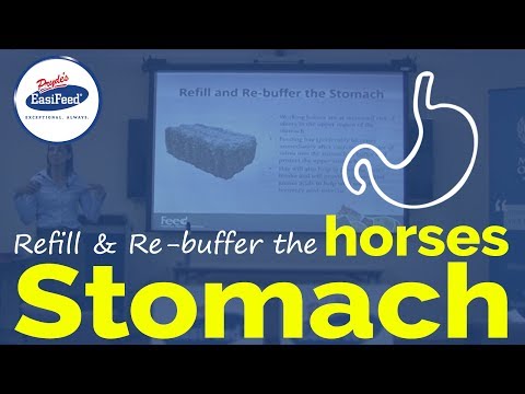 Refill and re-buffer the horses stomach