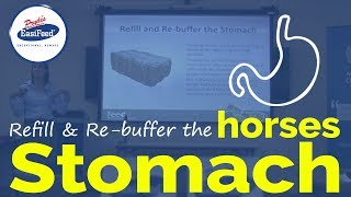Refill and re-buffer the horses stomach