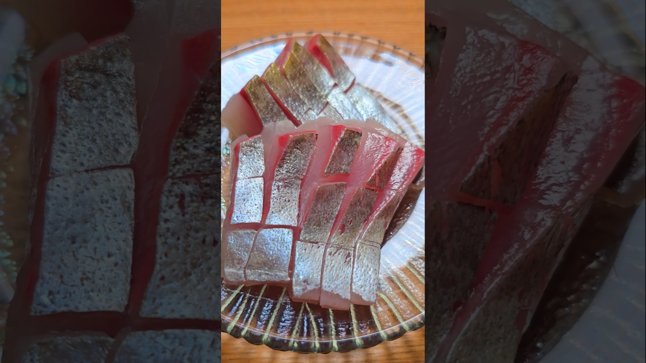 シマアジの“はらみ”、ここだけ別格。