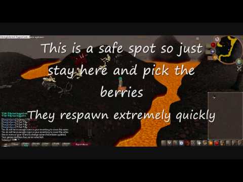 Runescape White Berries Guide