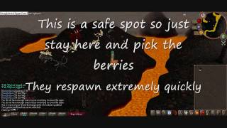 Runescape White Berries Guide