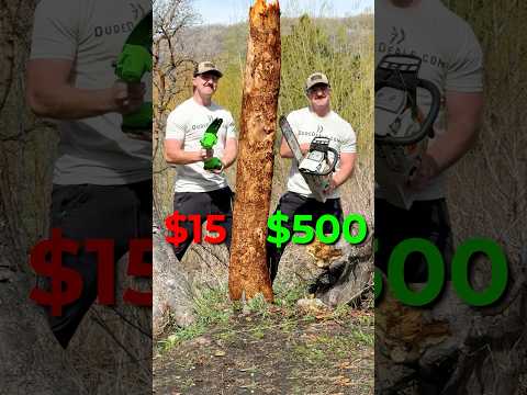 $15 vs $500 chainsaw - which one cuts faster?