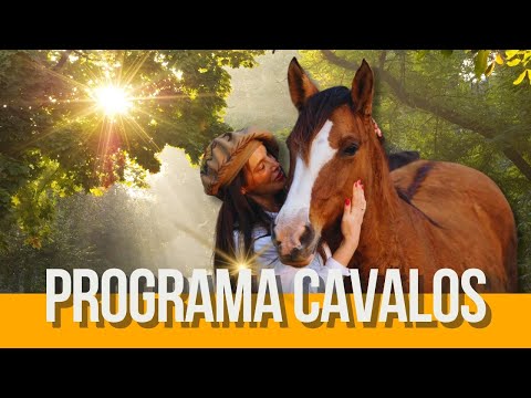 Horses: A new era at Freio de Ouro, Cabanha Santa Fé opens the herd and pays tribute to Father's Day