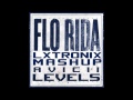 Avicii vs Flo Rida - Good Feeling (Levels) (LX ...