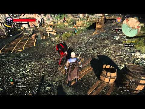 The Witcher 3 Let's Play Gameplay PC Part 118 No Commentary