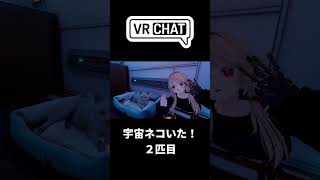 宇宙ネコ(本物)がいた！2匹目#VRSNS #vrchat