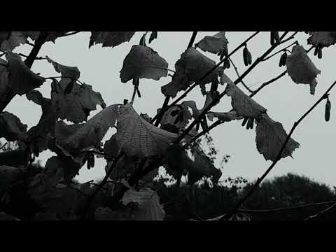 Rocco Frattasio- "Zombie" Music video