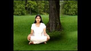 'I am a soul' : Meditation commentary
