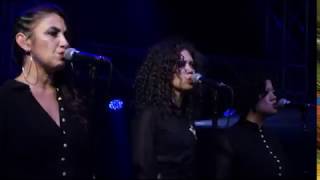 Cold Chisel - Last Wave of Summer (Live at the Sydney Entertainment Centre)