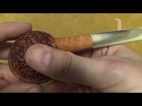 Pipa Viprati rusticata - Straight Rhodesian - VI216