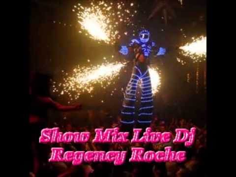 Dj Regency Roche Mini Mix In Germany Electro 2K14
