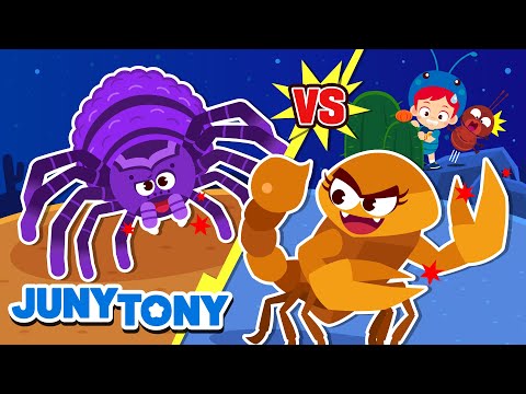 Scorpion vs. Tarantula | VS Series | Animal Songs for Kids | Kids Songs | JunyTony