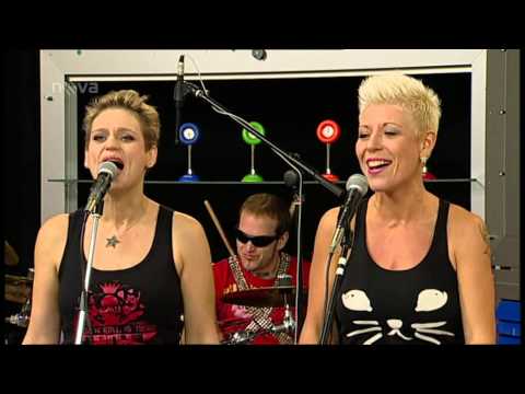 Cocktail à la Motejl (CaM) - Nova - Cocktail ala motejl