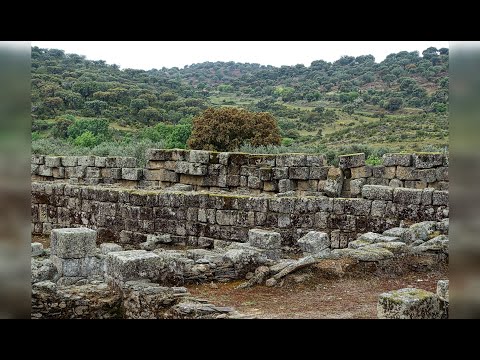 Sorin Pomohaci și Lucian Curelușă - Voi rezidi din nou altarul