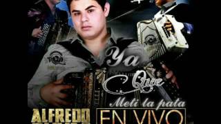 Ya Que Meti La Pata - Alfredo Olivas ( En Vivo Con Banda 2016)