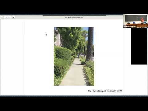 Bayesian models of perception - Part I