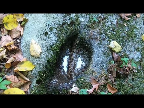 youtube embeded image