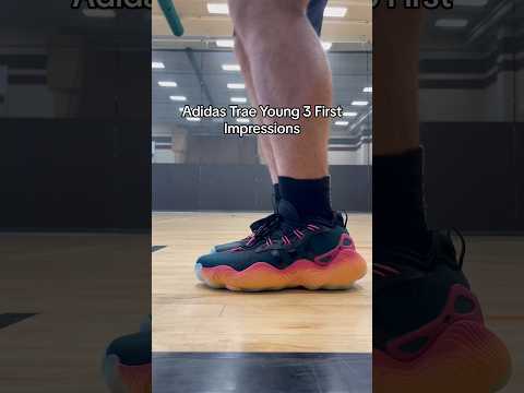 Adidas Trae Young 3 “From The Ground Up” On Feet Looks and First Impressions #shorts #sneakers