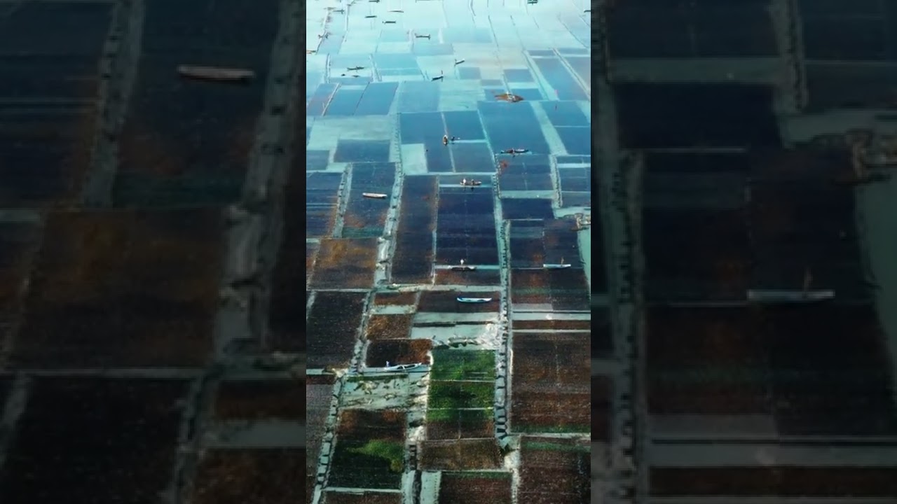 YouTube Short thumbnail