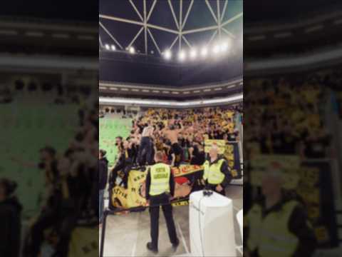 Μοναδική και σπάνια ομάδα στα Βαλκάνια 🟡⚫️ #aris #fans #slovenia #ljubljana #arisbc #basketball