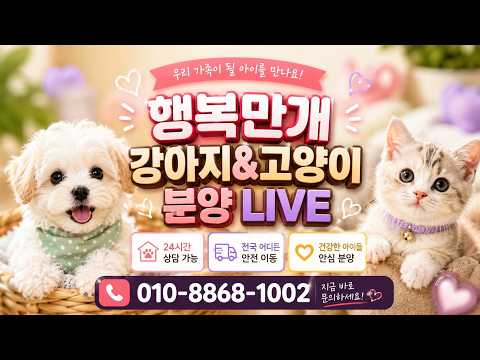 ???? 행복만개 새 식구가 왔어요~ 환영합니다! ???? #강…