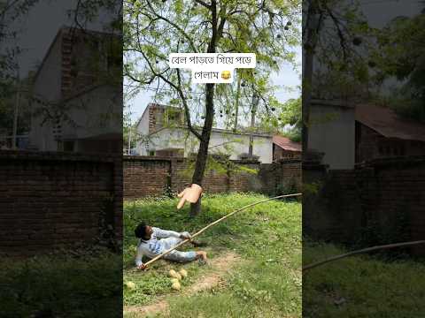 গাছ থেকে বেল পাড়তে গিয়ে পড়ে গেলাম 😂 - #shorts #vlog #minivlog #shortvideo