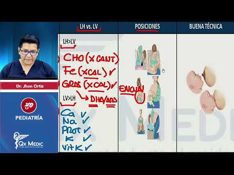 RM 2024   Pediatra   Resumen integral