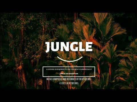 Amapiano x Ckay Type Beat | Afrobeat Instrumental 2021 | "Jungle"