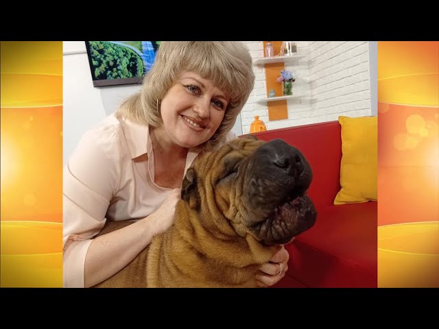 Живая среда