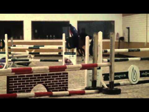 Sportpferde Matthias Keil - Careful